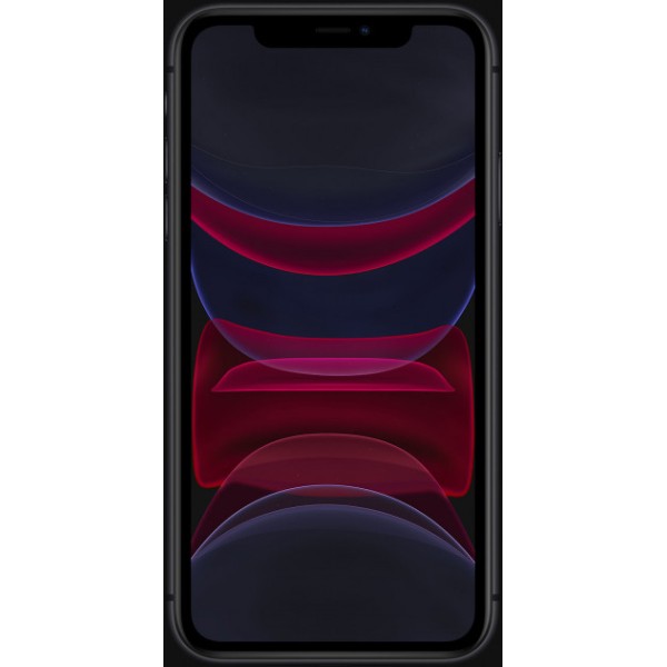 Смартфон Apple iPhone XI Black Dual SIM